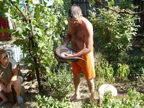 pescuit la dunare - sdc10428.JPG